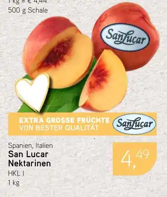 Dornseifer San Lucar Nektarinen Angebot