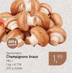 Dornseifer Champignons braun Angebot
