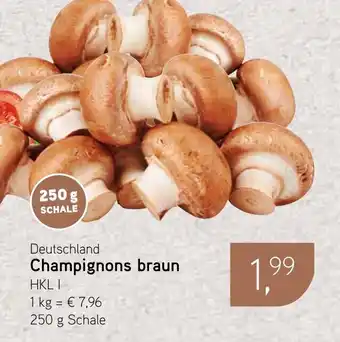 Dornseifer Champignons braun Angebot