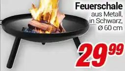 CENTERSHOP Feuerschale Angebot