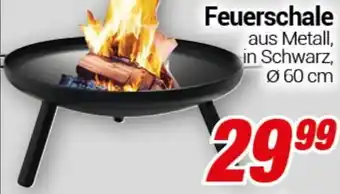 CENTERSHOP Feuerschale Angebot