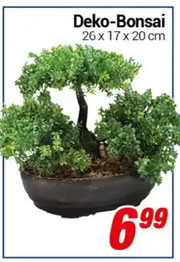 CENTERSHOP Deko-Bonsai Angebot