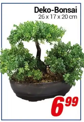 CENTERSHOP Deko-Bonsai Angebot