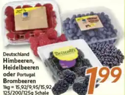 inkoop Himbeeren, Heidelbeeren oder Brombeeren Angebot