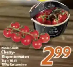 inkoop Niederlande Cherry Rispentomaten Angebot