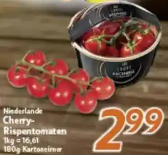 inkoop Niederlande Cherry Rispentomaten Angebot