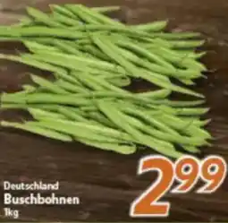 inkoop Deutschland Buschbohnen Angebot