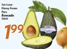 inkoop San Lucar Avocado Angebot