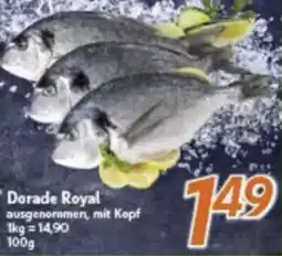 inkoop Dorade Royal Angebot