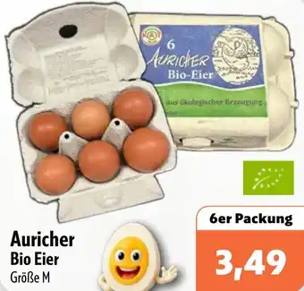 Aktiv Irma Auricher Bio Eier Angebot