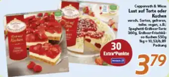 inkoop Coppenrath & Wiese Lust auf Torte oder Kuchen Angebot