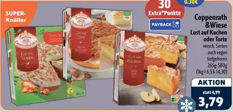 Aktiv Irma Coppenrath &Wiese Lust auf Kuchen oder Torte Angebot