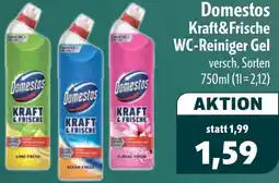Aktiv Irma Domestos Kraft&Frische WC-Reiniger Gel Angebot