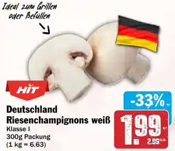 HIT Deutschland Riesenchampignons weiß Angebot