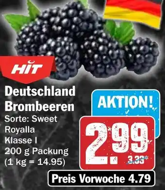 HIT Deutschland Brombeeren Angebot