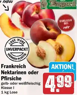 HIT Frankreich Nektarinen oder Pfirsiche Angebot