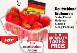 HIT Deutschland Erdbeeren Angebot
