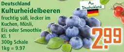 Klaas und Kock Deutschland Kulturheidelbeeren Angebot