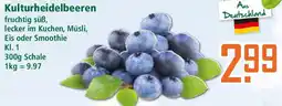 Klaas und Kock Deutschland Kulturheidelbeeren Angebot