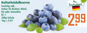 Klaas und Kock Deutschland Kulturheidelbeeren Angebot