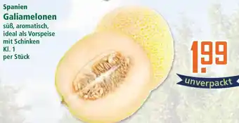 Klaas und Kock Spanien Galiamelonen Angebot