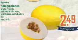 Klaas und Kock Spanien Honigmelonen Angebot