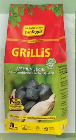Handelshof proFagus Holzkohlebriketts Grillis Angebot