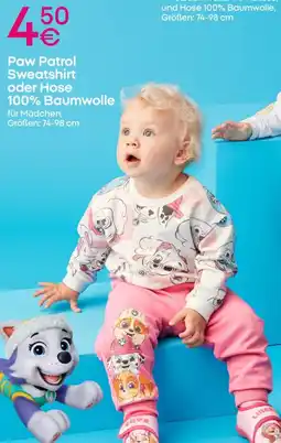 PEPCO Paw Patrol Sweatshirt oder Hose Angebot