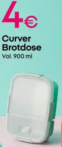 PEPCO Curver Brotdose Angebot