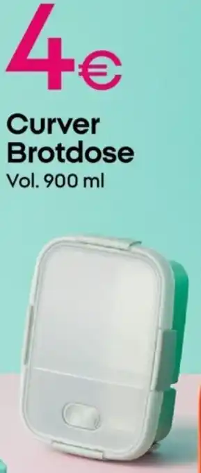 PEPCO Curver Brotdose Angebot
