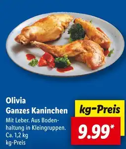 Lidl Olivia ganzes kaninchen Angebot