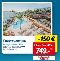 Lidl Fuerteventura 8-tägige reise inkl. flug, sotavento beach club, inkl. halbpension Angebot