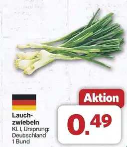 Famila Nord West Lauchzwiebeln Angebot
