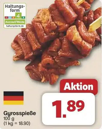 Famila Nord West Gyrosspieße Angebot
