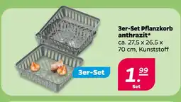 NETTO 3er-set pflanzkorb anthrazit Angebot