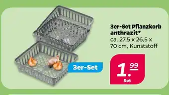 NETTO 3er-set pflanzkorb anthrazit Angebot