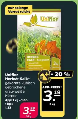 NETTO Uniflor herbst-kalk Angebot