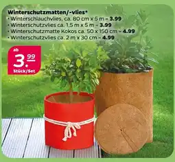 NETTO Winterschutzmatten/-vlies Angebot