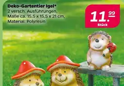 NETTO Deko-gartentier igel Angebot