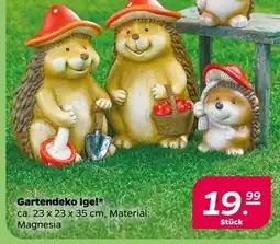 NETTO Gartendeko igel Angebot