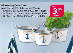 NETTO Blumentopf maritim Angebot