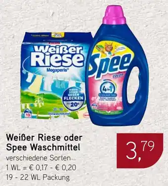 Dornseifer Weißer Riese oder Spee Waschmittel Angebot