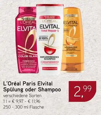 Dornseifer L'Oréal Paris Elvital Spülung oder Shampoo Angebot