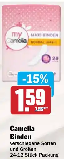 HIT Camelia Binden Angebot