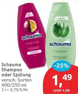 Budni Schauma Shampoo oder Spülung Angebot