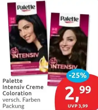 Budni Palette Intensiv Creme Coloration Angebot
