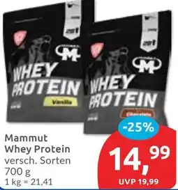 Budni Mammut Whey Protein Angebot