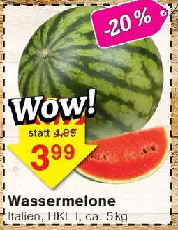 Wiglo Wunderland Wassermelone Angebot