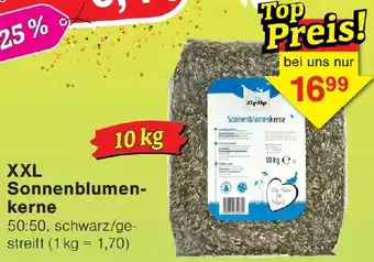 Wiglo Wunderland XXL Sonnenblumenkerne Angebot