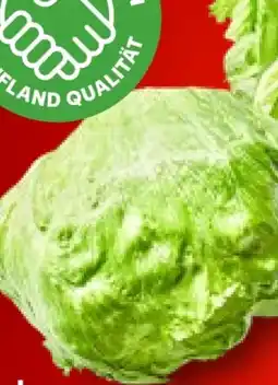 Kaufland Eisbergsalat Angebot